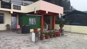 a group of potted plants in front of a building at Kinley Homestay in Darjeeling