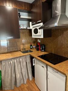 a kitchen with a sink and a microwave at Rural-ya Alojamientos Granada Nevada home in La Zubia
