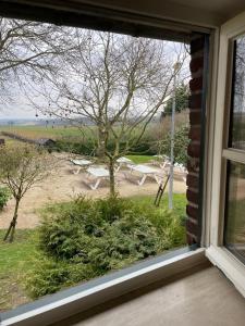 a window view of a yard with a picnic table at Cosy Holliday Home for 3 persons in Voerendaal