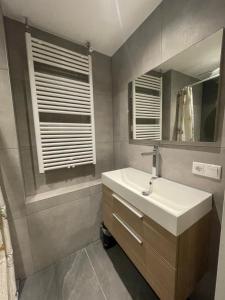 a bathroom with a sink and a mirror at Cosy Holliday Home for 3 persons in Voerendaal