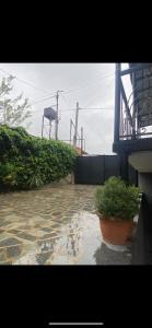 Taman di luar Sunview apartment