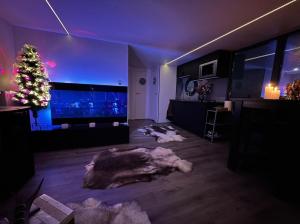 Exclusive Houseboat La Mare 12 x 5 m in Maasbommel的电视和/或娱乐中心