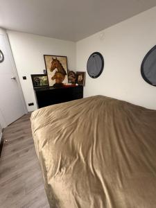 Exclusive Houseboat La Mare 12 x 5 m in Maasbommel客房内的一张或多张床位