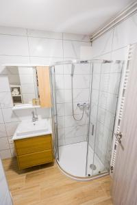 Koupelna v ubytování Apartma Tom
