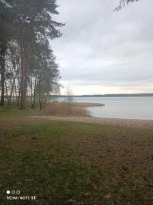 Gallery image of Apartament Słoneczny Zakątek in Radzyń +3 photos