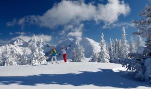 Aparthotel DAS Hochkönig v zimě