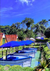 Vrt pred nastanitvijo Ecohotel Java