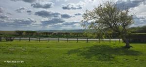 a tree in a field next to a fence at Cozy Nook in Gristhorpe