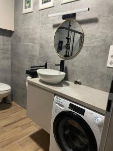 セゲドにあるPosh Cat City Apartmentのバスルーム(洗濯機、鏡付) +15枚の写真