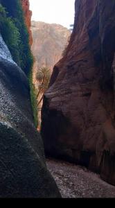 Gallery image of Dana's scenic trails in Dana