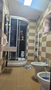 a bathroom with a shower and a sink and a toilet at Vila Simona in Curtea de Argeş