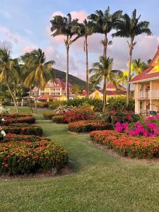 Zahrada ubytování Ti Kawan