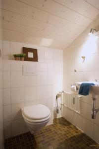 a white bathroom with a toilet and a sink at Staller Hof inkl. Chiemgaukarte in Ruhpolding