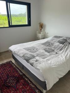 a large bed in a bedroom with a window at Maison entre océan et forêt landaise in Vielle-Saint-Girons