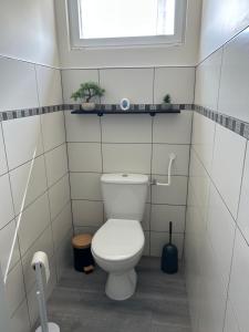 a bathroom with a toilet with a window and a plant at Vendangeoir du gîte du clos pommier in Chavot-Courcourt +7 photos