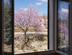 Fotografie z fotogalerie ubytování Agriturismo Albarossa v destinaci Nizza Monferrato