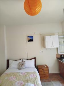 a bedroom with a bed and a light at Stefanos Garden2 in Arménoi
