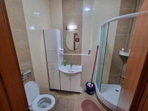 Kupatilo u objektu Apartman Autokomanda