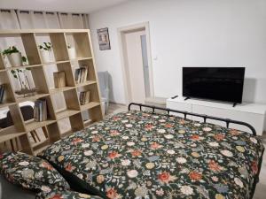 Televiisor ja/või meelelahutuskeskus majutusasutuses Apartmán Vespa