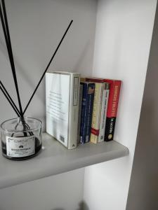 The library in Az apartmant