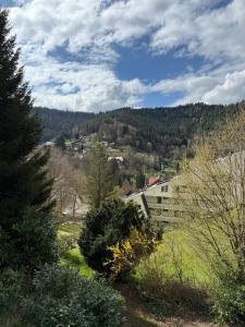 a view of a hill with trees and a building at 1-Zimmer-Apartment in der Nähe der Therme und Hängebrücke in Bad Wildbad