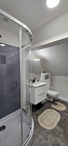 a bathroom with a shower and a toilet at EMM Guesthouse in Ieper +7 photos