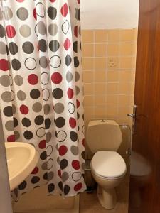 un bagno con un water, un lavandino e una tenda da doccia di ALEKA Kos City Center Apartments a Città di Kos