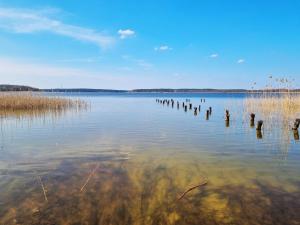 JaszczerzにあるOstoja Wycinki domki letniskoweのギャラリーの写真