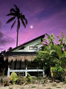 a house on the beach with a palm tree at Siargao Nalu Loft House in Burgos