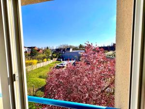 a window with a view of a tree with pink flowers at Magnifique 2 chambres - Parking - Netflix - Gare in Arras