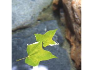 Φωτογραφία από το άλμπουμ του Chuseikan - Vacation STAY 34512v σε Shima