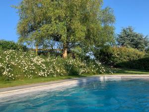 a swimming pool with a tree and white flowers at Cute cob cottage in Winterborne Stickland