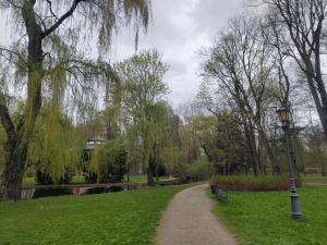 a path in a park with a river and trees at Pole namiotowe Genius in Żywiec