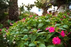 Giardino di Matina Hotel