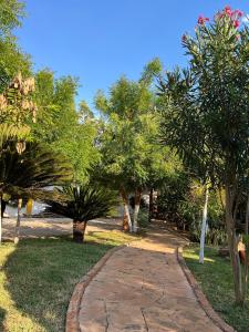 Κήπος έξω από το Quinta Rosita