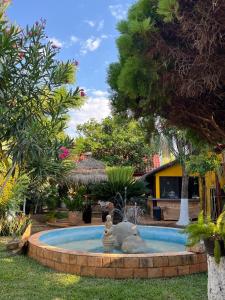 Κήπος έξω από το Quinta Rosita