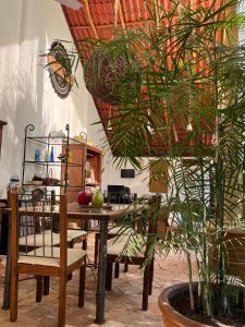Φωτογραφία από το άλμπουμ του Quinta Rosita σε Ticul