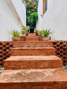 Ảnh trong thư viện ảnh của Departamento con terraza en el Centro -Costa- ở Oaxaca City