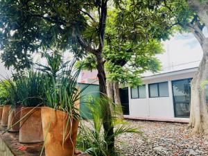 Vườn quanh Departamento con terraza en el Centro -Costa-