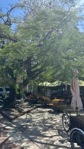 a statue of a woman standing next to a tree at Grandiosa casa céntrica a minutos de la playa in Cancún
