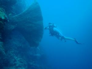 a person in the ocean with a diver in the water at Kasuari Homestay by Ipoeng RB&B in Telaga +1 photo