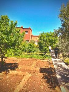 ワルザザートにあるChez l'habitant tigminnaghのギャラリーの写真 +31枚の写真