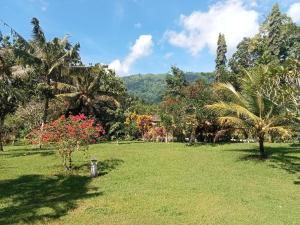 a park with palm trees and a fire hydrant at Guesthouse Rumah Senang in Kalibaru