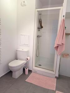 a bathroom with a toilet and a shower at La chatillonnaise in Châtillon +7 photos
