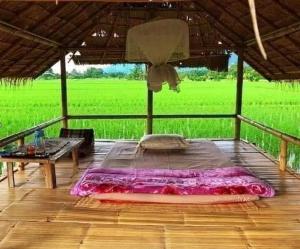 Cama en habitación con vistas al campo en OrganicHomeFarmStay, en Ban Na Sông 15 fotos más
