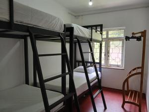 Letto o letti a castello in una camera di Kandy Twin Hostel