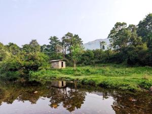 a small house on the side of a river at Milu Homes in Thirunelli