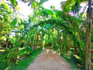 a dirt road through a jungle with trees at Yokel View Villa in Weligama