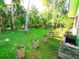 a yard with a row of potted plants at Yokel View Villa in Weligama