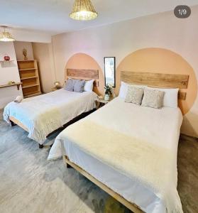 Gallery image of Casa Sofia Guest House in San Cristóbal de Las Casas